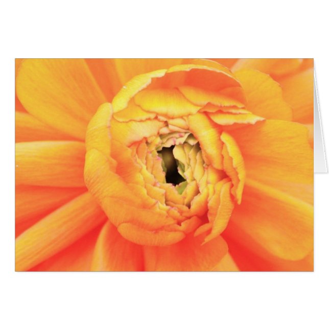 Unwinding (Front Horizontal)