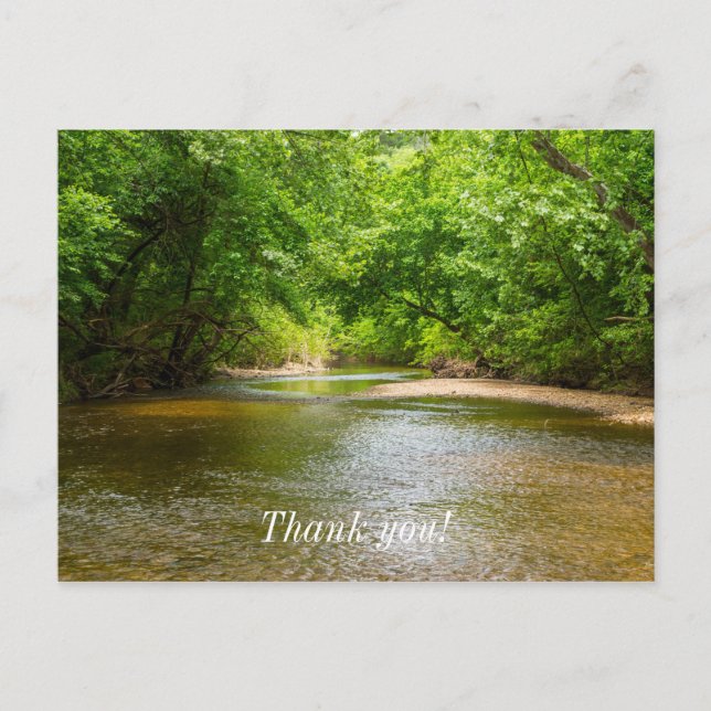 Up A Creek Postcard (Front)