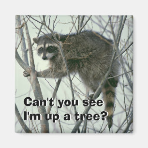 Up a Tree Magnet