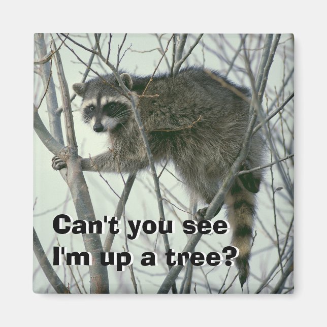 Up a Tree Magnet (Front)
