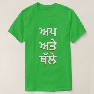 up and down in Punjabi (ਅਪ ਅਤੇ ਥੱਲੇ) T-Shirt