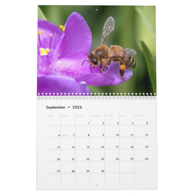 Up Close and Personal with the Bees Photo   Calendar (Sep 2026)