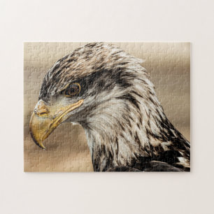 Up Close Eagle Photo Jigsaw Puzzle