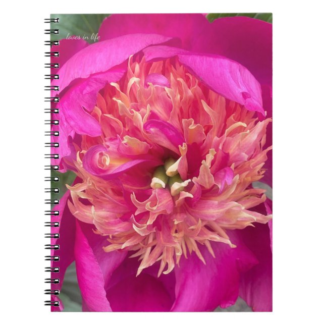 Up-close Hot Pink Peony Notebook (Front)