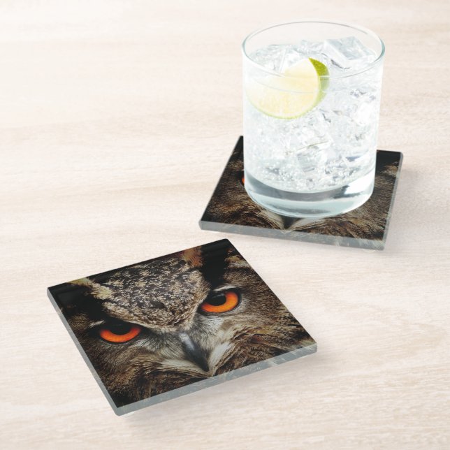Up Close Owl with Orange Eyes Glass Coaster (Angled)