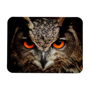 Up Close Owl with Orange Eyes Magnet