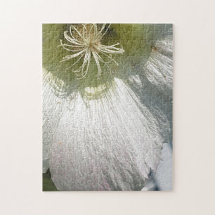 Up close white flower jigsaw puzzle