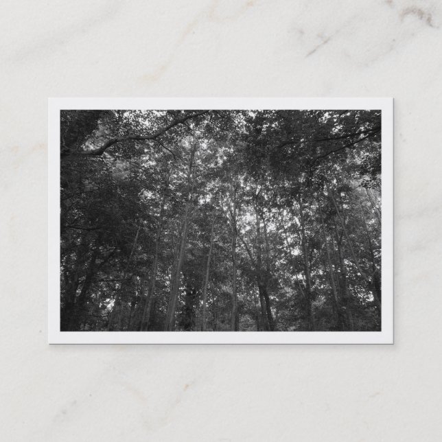 Up in the Trees, Mini Photo Business Card (Front)