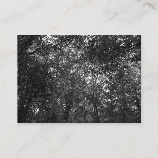 Up in the Trees, Mini Photo Business Card (Front)