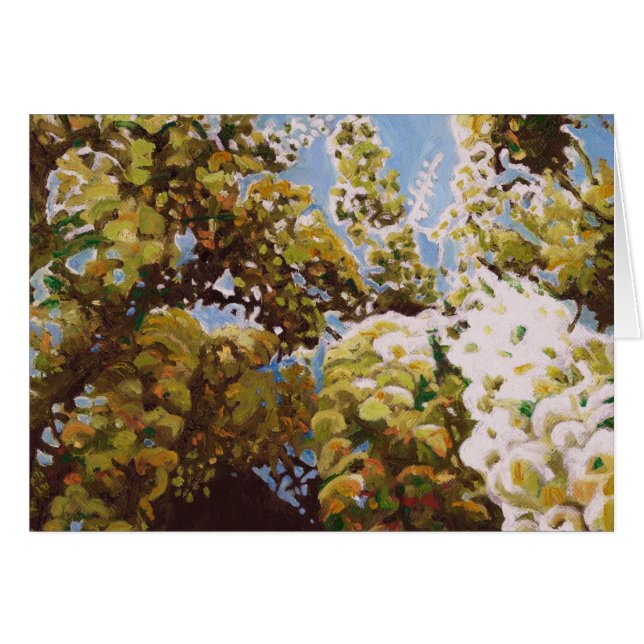 Up into wisteria 2011 (Front Horizontal)