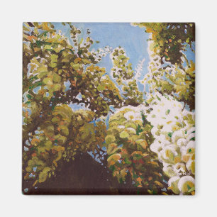 Up into wisteria 2011 magnet