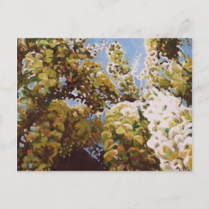 Up into wisteria 2011 postcard