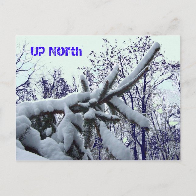 Up North Postcard (Front)