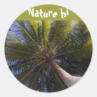 up the coconut tree classic round sticker
