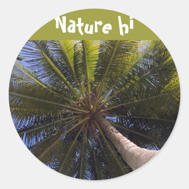 up the coconut tree classic round sticker (Front)