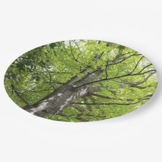 UP THE OAK TREE PAPER PLATE