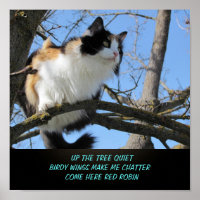 Up the Tree Quiet Cat Meme Haiku