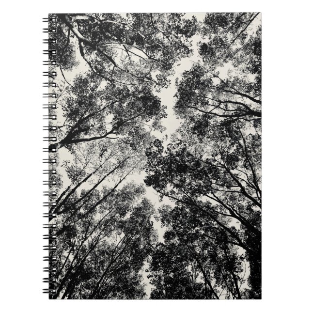 Up Through The Trees, 2018 | SVP Images Notebook (Front)