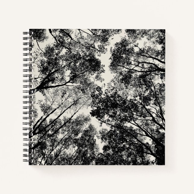 Up Through The Trees, 2018 | SVP Images Notebook (Front)