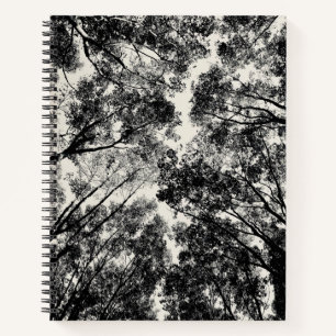 Up Through The Trees, 2018 SVP Images Notebook
