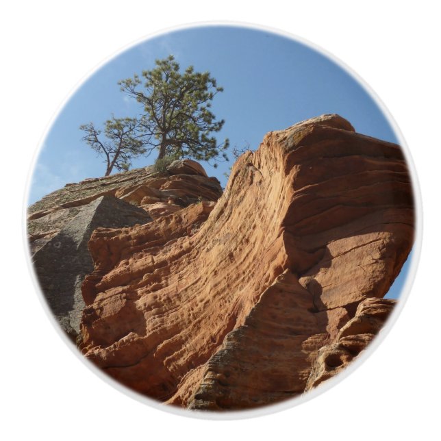 Up to Angels Landing in Zion National Park Ceramic Knob (Front)