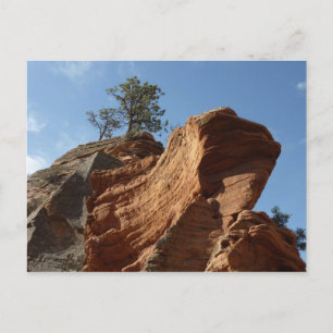 Up to Angels Landing in Zion National Park Postcard