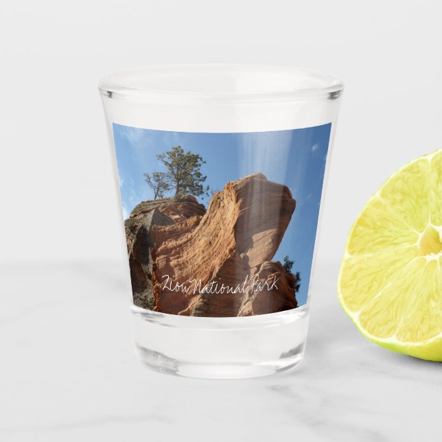 Up to Angels Landing in Zion National Park Shot Glass (Front)