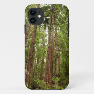 Up to Redwoods I at Muir Woods National Monument iPhone 11 Case