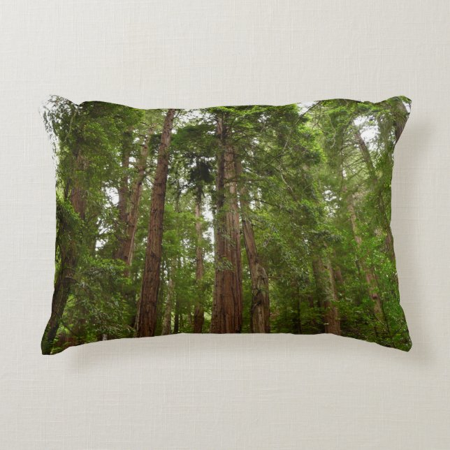 Up to Redwoods I at Muir Woods National Monument Decorative Pillow (Front)