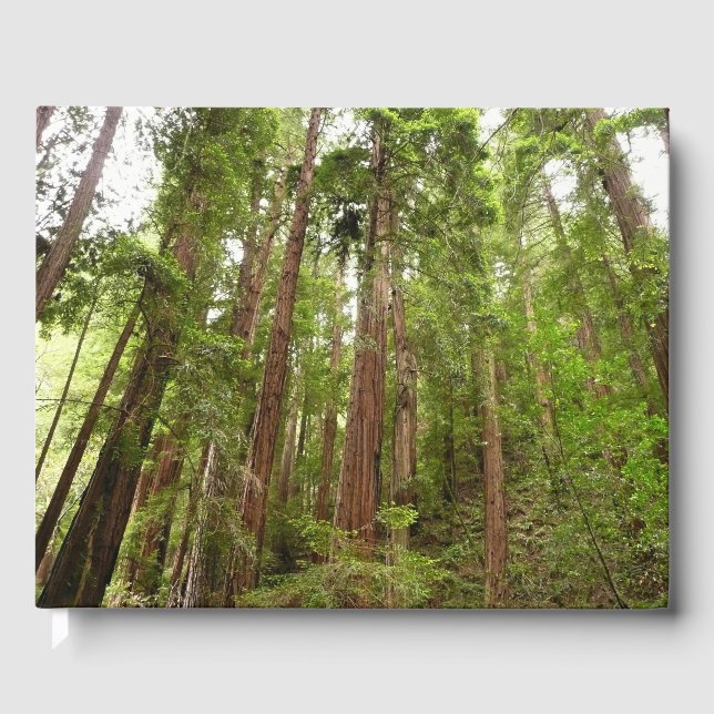 Up to Redwoods I at Muir Woods National Monument Guest Book (Front)