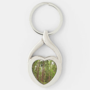 Up to Redwoods I at Muir Woods National Monument Keychain
