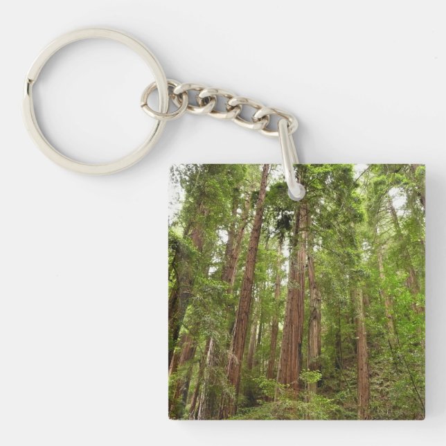 Up to Redwoods I at Muir Woods National Monument Keychain (Front)