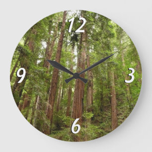 Up to Redwoods I at Muir Woods National Monument Large Clock