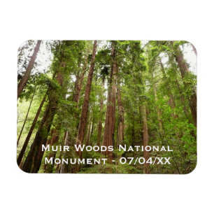 Up to Redwoods I at Muir Woods National Monument Magnet