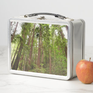 Up to Redwoods I at Muir Woods National Monument Metal Lunch Box