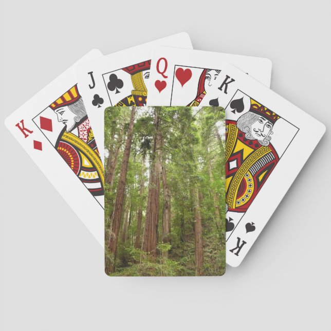 Up to Redwoods I at Muir Woods National Monument Playing Cards (Back)