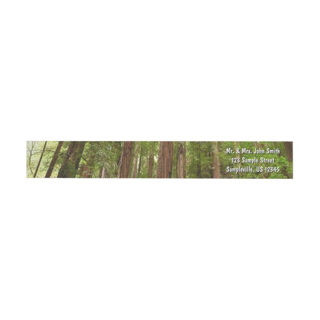 Up to Redwoods I at Muir Woods National Monument Wrap Around Label (Individual)