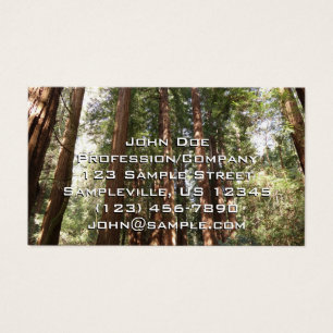 Up to Redwoods II at Muir Woods National Monument