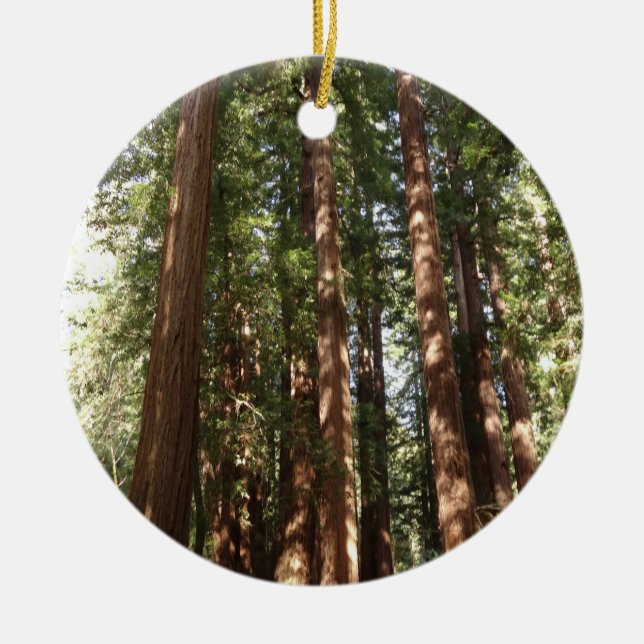 Up to Redwoods II at Muir Woods National Monument Ceramic Ornament (Front)