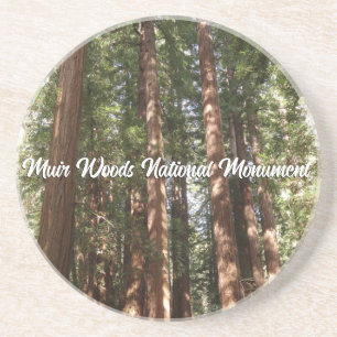 Up to Redwoods II at Muir Woods National Monument Coaster