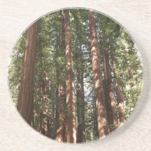 Up to Redwoods II at Muir Woods National Monument Coaster (Front)