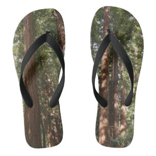 Up to Redwoods II at Muir Woods National Monument Flip Flops