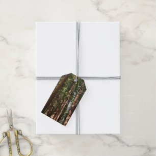 Up to Redwoods II at Muir Woods National Monument Gift Tags
