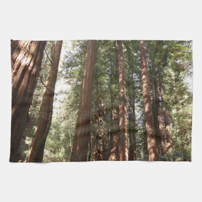 Up to Redwoods II at Muir Woods National Monument Kitchen Towel (Horizontal)