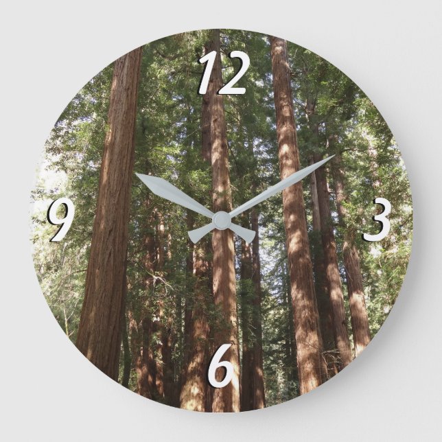 Up to Redwoods II at Muir Woods National Monument Large Clock (Front)
