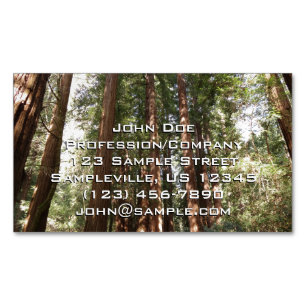 Up to Redwoods II at Muir Woods National Monument Magnetic Business Card