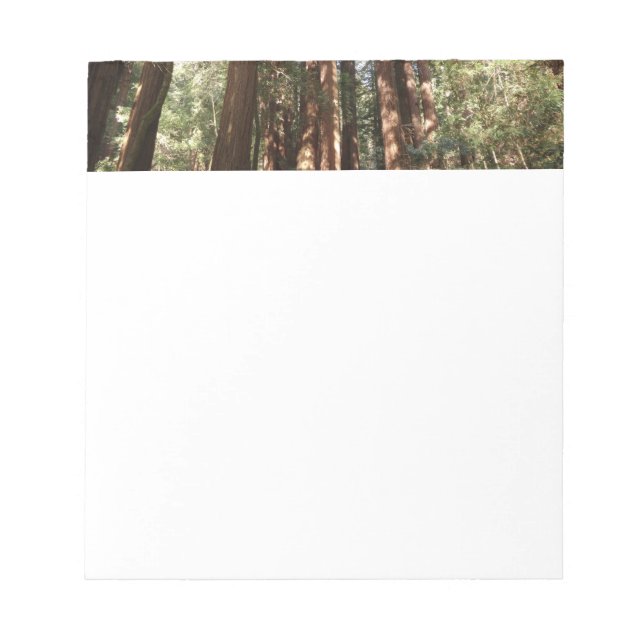 Up to Redwoods II at Muir Woods National Monument Notepad (Front)