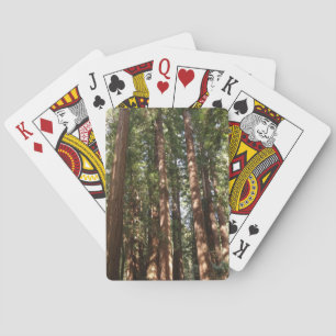 Up to Redwoods II at Muir Woods National Monument Playing Cards