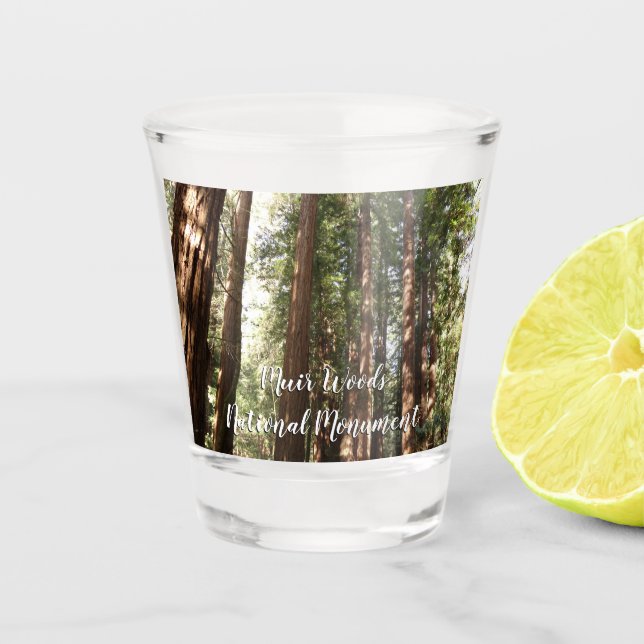Up to Redwoods II at Muir Woods National Monument Shot Glass (Front)