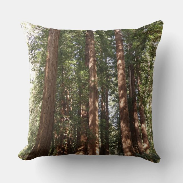 Up to Redwoods II at Muir Woods National Monument Throw Pillow (Front)